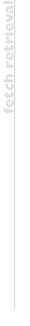 Fetch Retrieval Banner